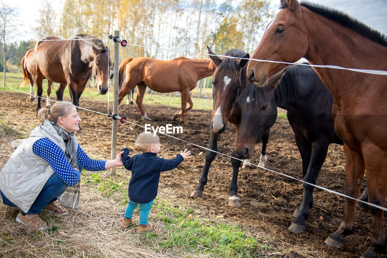 Mother and son looking at horses in ranch