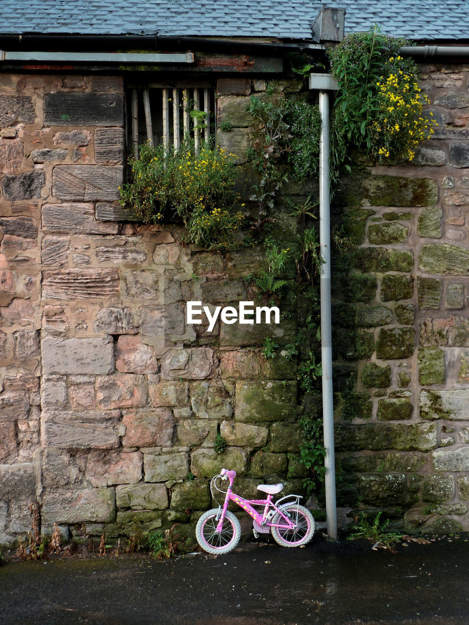 BICYCLE AGAINST WALL