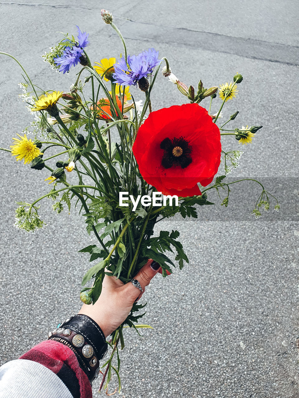 High angle view of person hand holding bunch of flowers