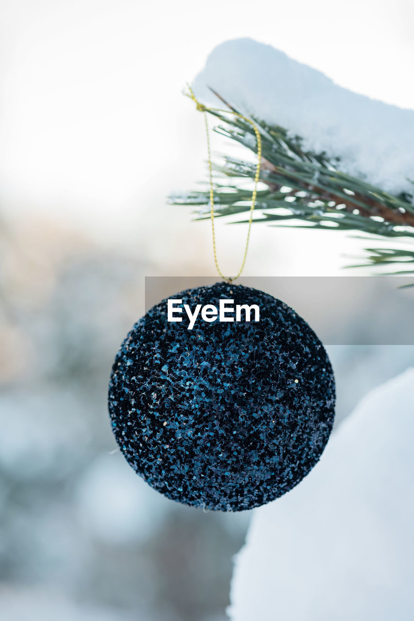 Hanging blue glitter christmas ball on spruce and over blurred background