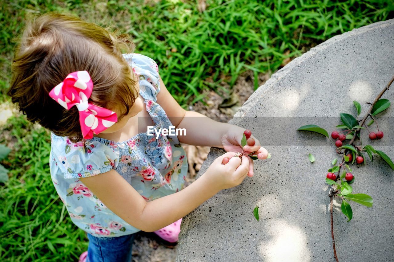 High angle view of girl holding berries on field by retaining wall