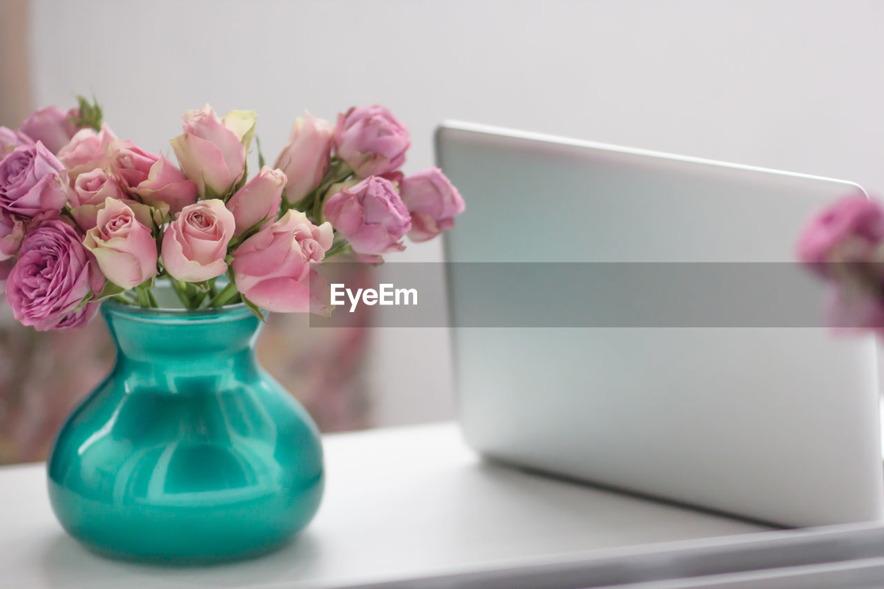 CLOSE-UP OF PINK ROSE IN VASE ON TABLE