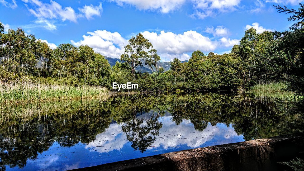 Reflection of trees in lake against sky