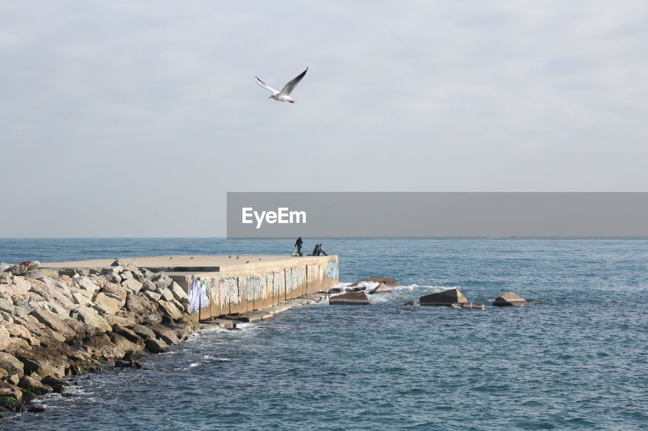 SEAGULL FLYING OVER SEA