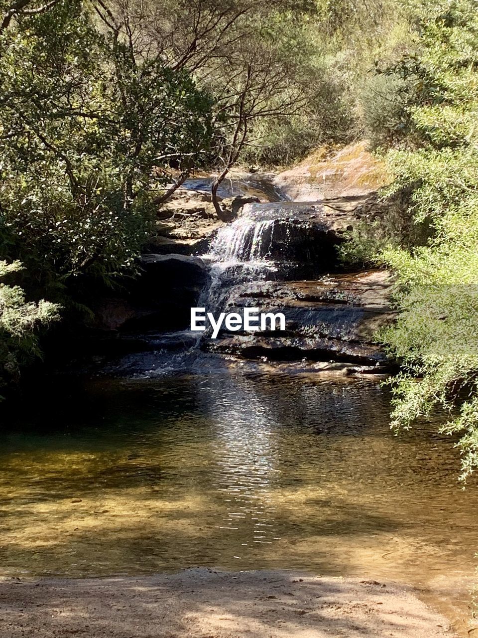 VIEW OF WATERFALL IN FOREST