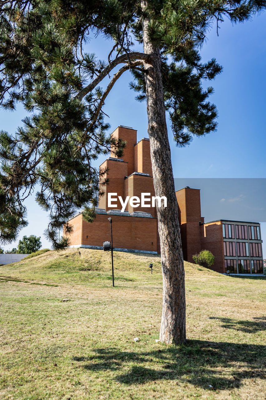 plant, architecture, tree, built structure, nature, grass, sky, building exterior, building, sunlight, no people, day, outdoors, landscape, house, land, field, shadow, estate, history, sunny, blue, rural area, green, the past, clear sky, travel destinations, residential district, home