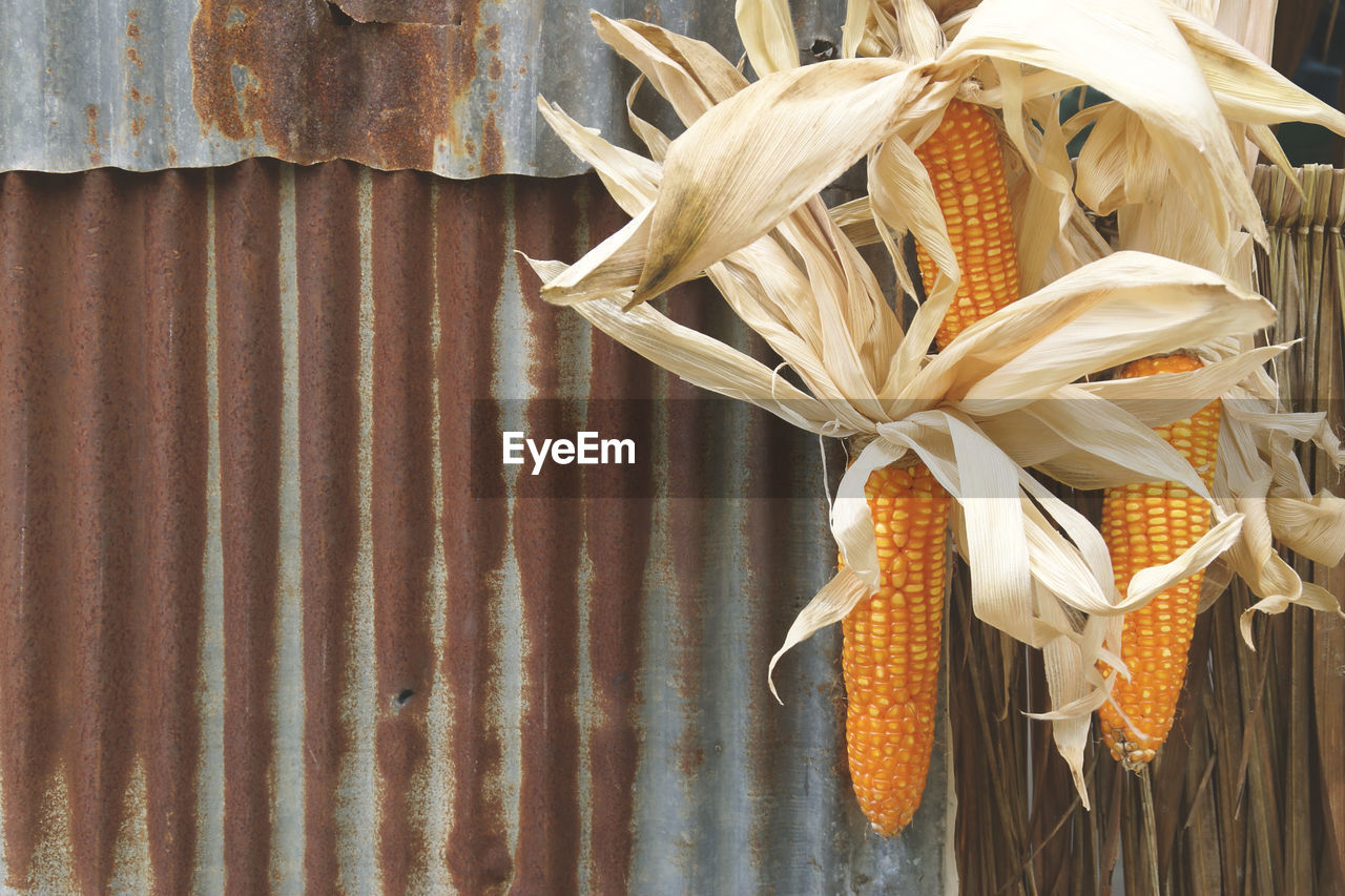 no people, wood, flower, close-up, nature, food, plant, food and drink, cereal plant, leaf, hanging, day, yellow, still life, corn, outdoors