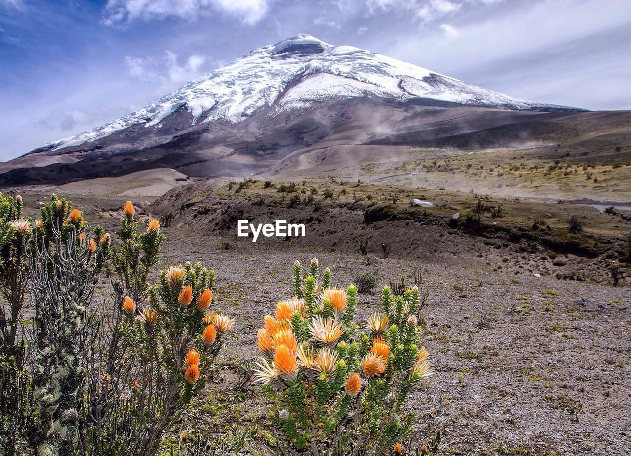 Scenic view of mountain peak