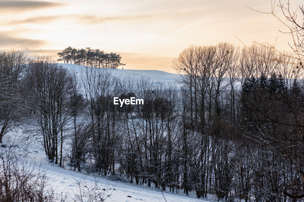 winter, cold temperature, snow, tree, plant, environment, landscape, sky, beauty in nature, scenics - nature, nature, land, forest, sunset, tranquility, tranquil scene, woodland, cloud, frozen, coniferous tree, pinaceae, non-urban scene, pine tree, no people, frost, pine woodland, bare tree, mountain, ice, rural scene, sun, travel destinations, white, travel, freezing, outdoors, polar climate, idyllic, tourism, branch, sunlight, remote, dusk, fog, horizon, blue, wilderness, water