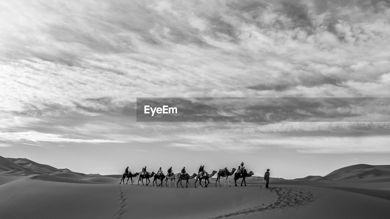 Group of people riding camels in desert against sky