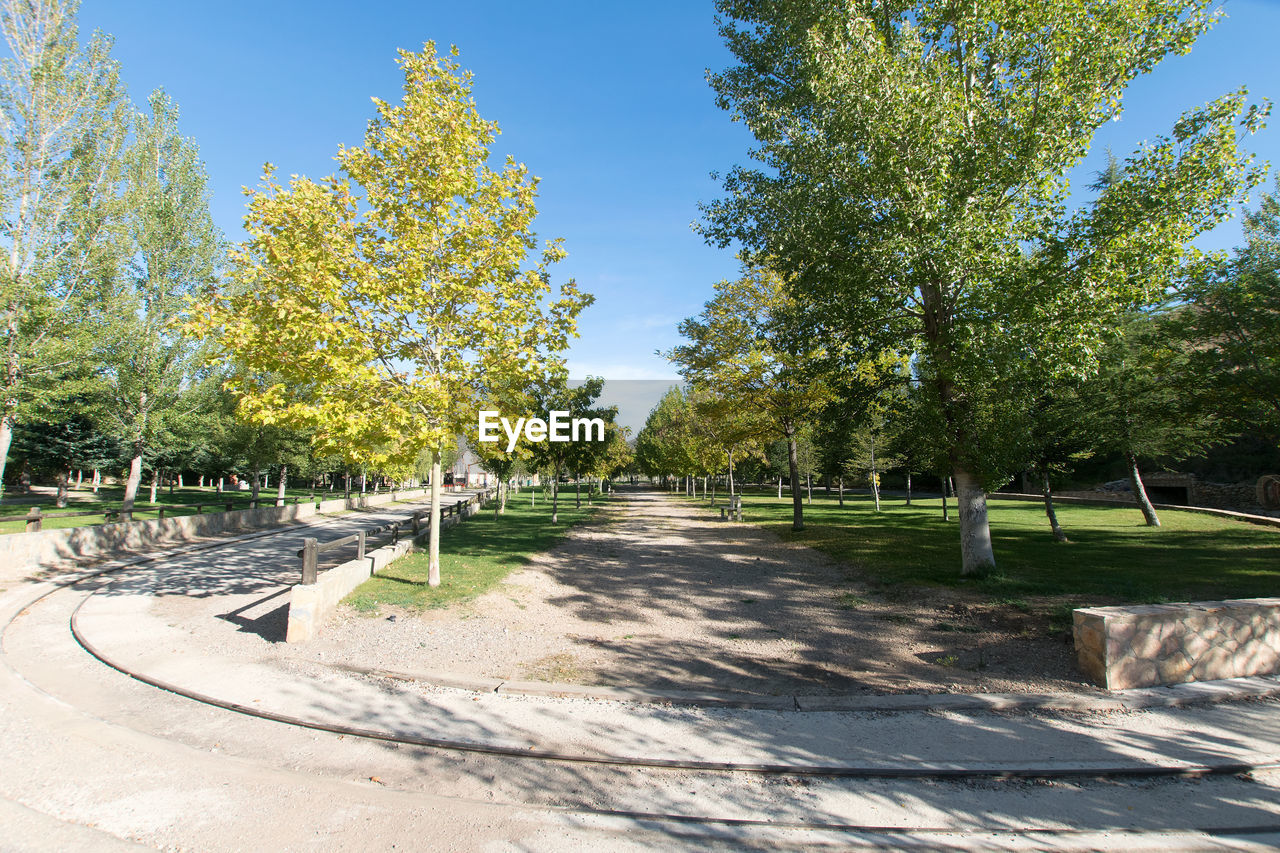 Trees in park against sky