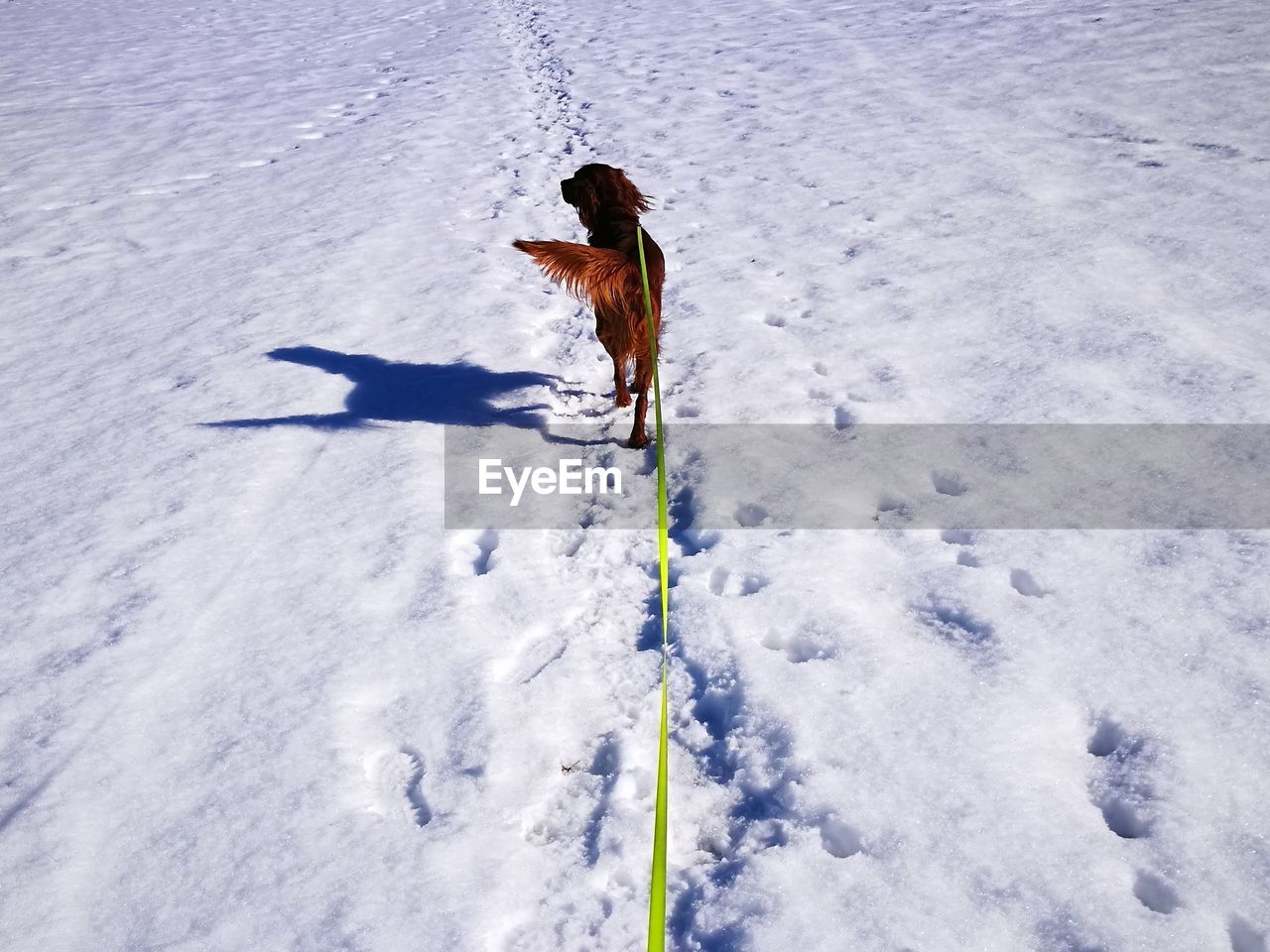 HIGH ANGLE VIEW OF PERSON ON SNOW FIELD