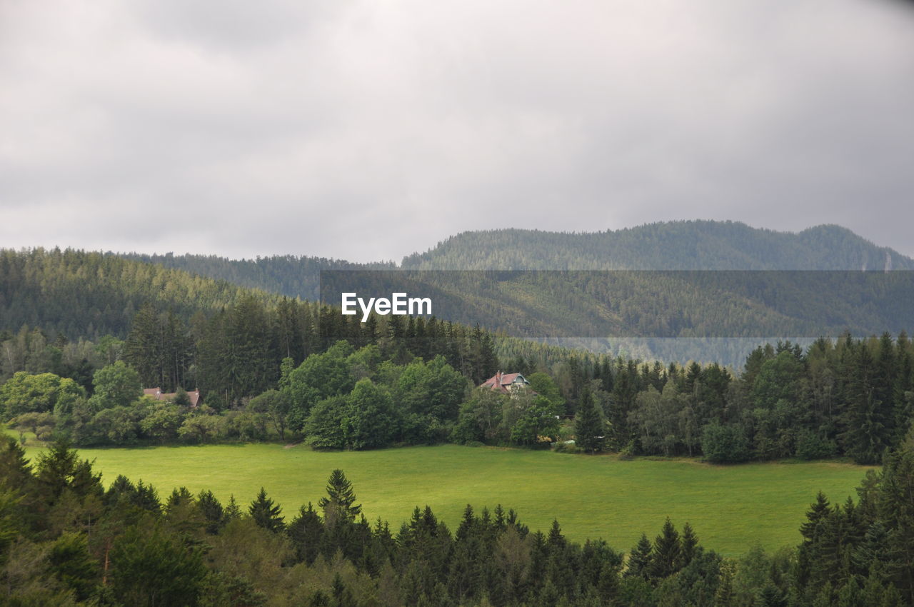 SCENIC VIEW OF GREEN FIELD AND MOUNTAINS