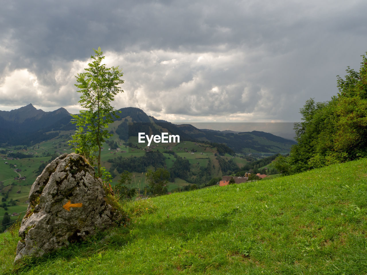 Scenic view of landscape against sky