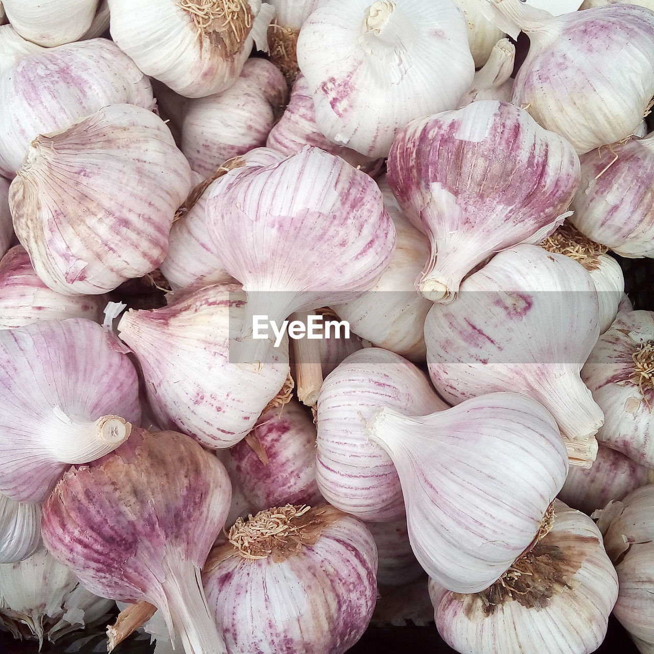 FULL FRAME SHOT OF FRESH VEGETABLES