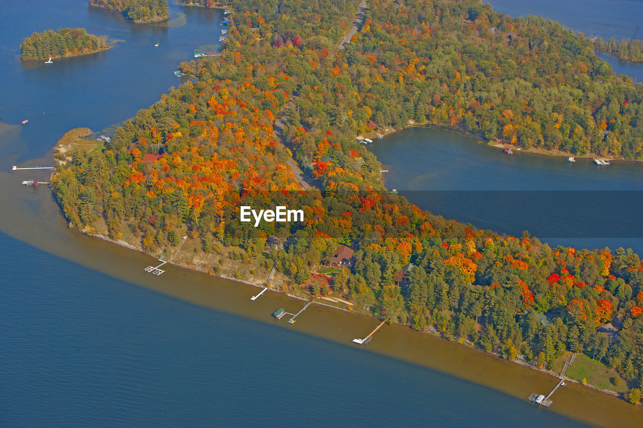 High angle view of trees by sea during autumn