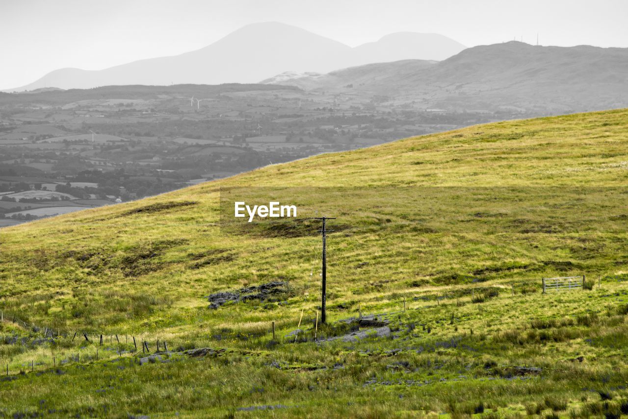 SCENIC VIEW OF GREEN LANDSCAPE