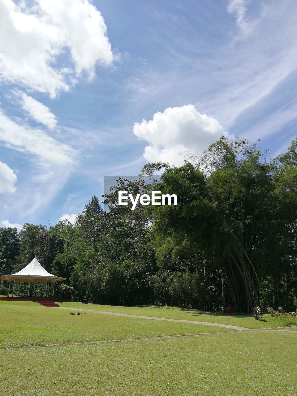 TREES AND PLANTS ON FIELD AGAINST SKY