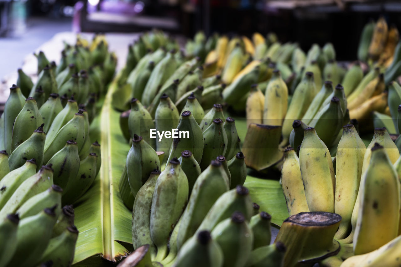 There are lots of bananas in the back of the pickup truck.