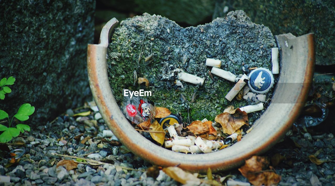 HIGH ANGLE VIEW OF SNAKE ON ROCKS