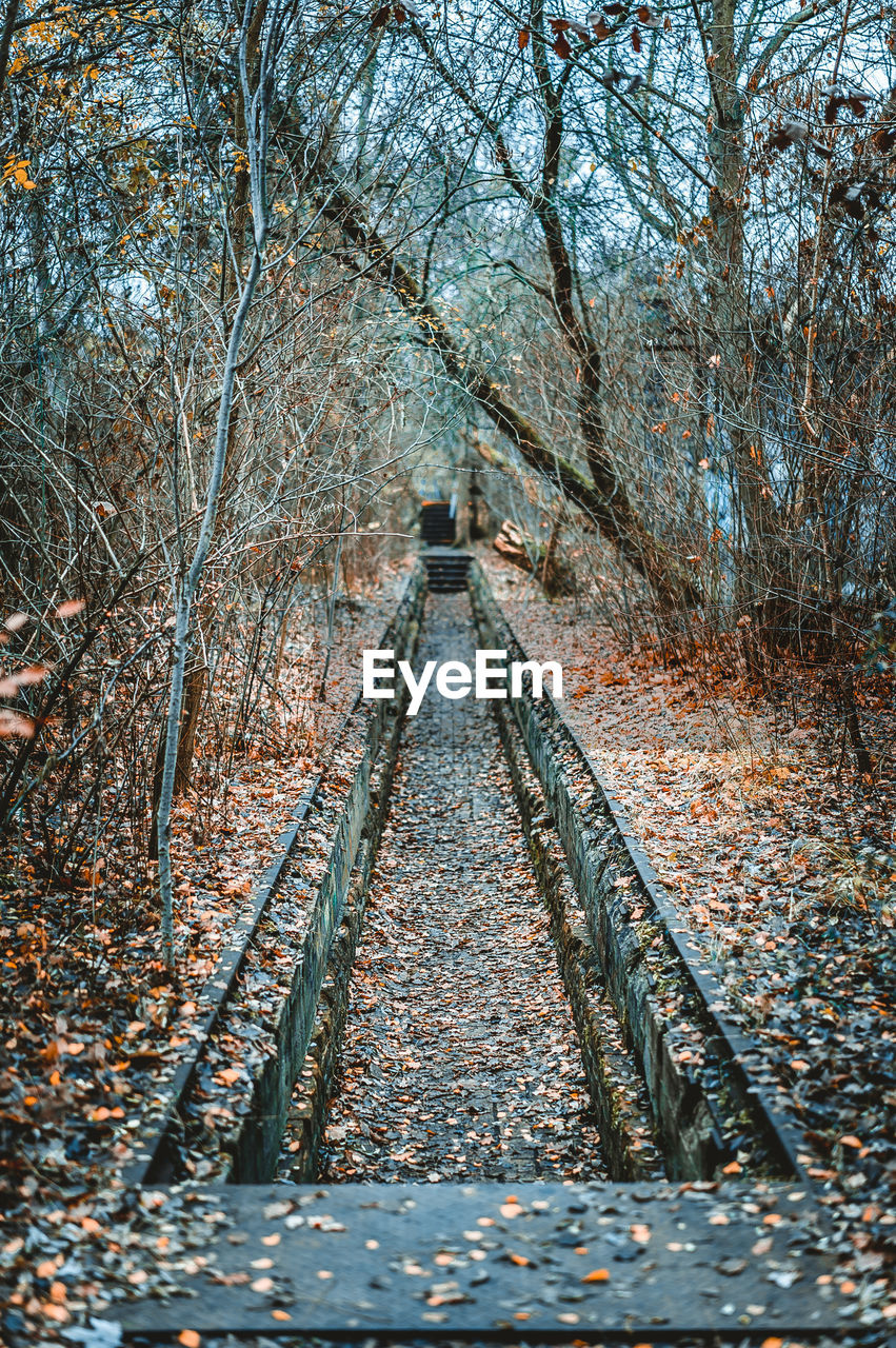 Railroad track amidst bare trees in forest during autumn