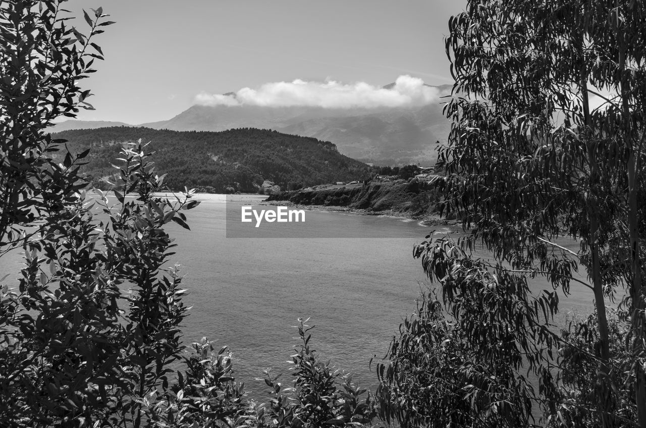 SCENIC VIEW OF BAY