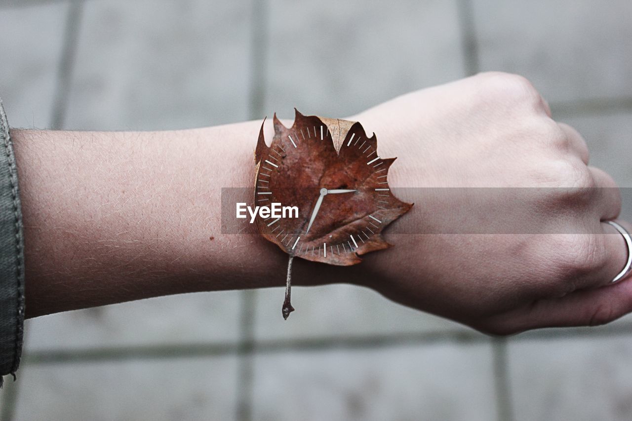 MIDSECTION OF PERSON HOLDING DRY LEAF