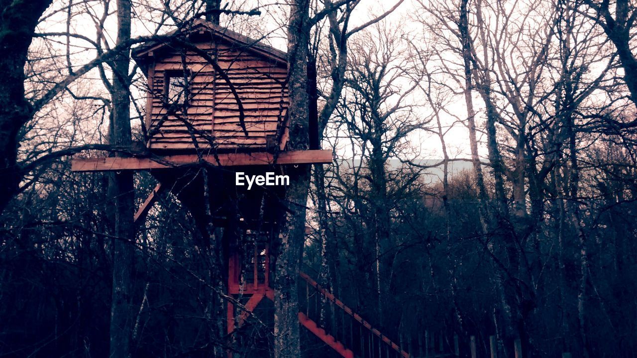 Tree fort in bare tree forest 