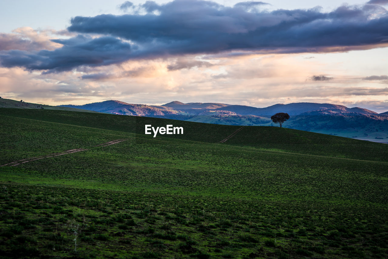 Scenic view of agricultural field against cloudy sky