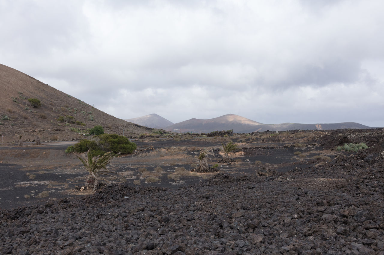 SCENIC VIEW OF LAND AGAINST SKY