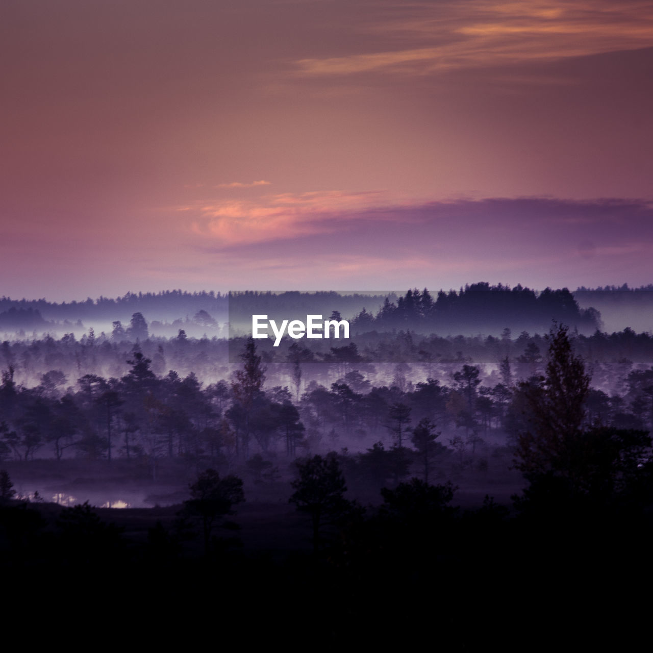 A beautiful, colorful morning landscape of a sunrise over the swamp