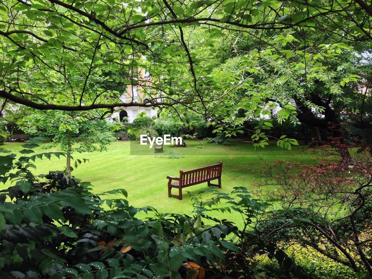 Empty bench in park