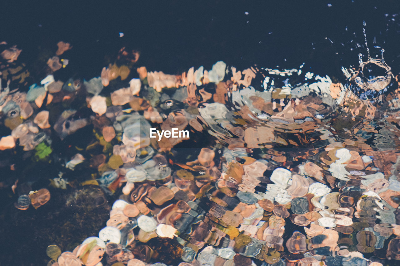 High angle view of coins in fountain