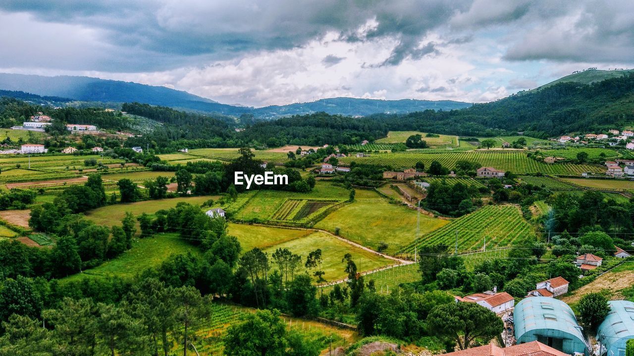 Scenic view of agricultural field against sky