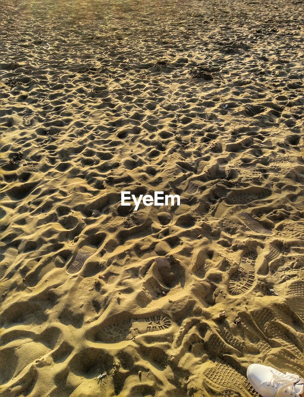 HIGH ANGLE VIEW OF FOOTPRINT ON BEACH