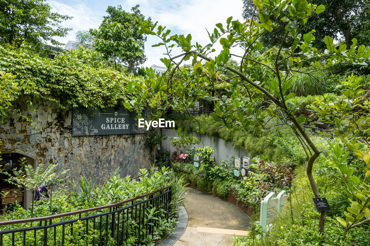 plant, tree, garden, nature, flower, green, growth, architecture, no people, botanical garden, day, footpath, beauty in nature, outdoors, shrub, sky, built structure, estate, cloud, foliage, text, lush foliage, tranquility, woodland, rural area, formal garden