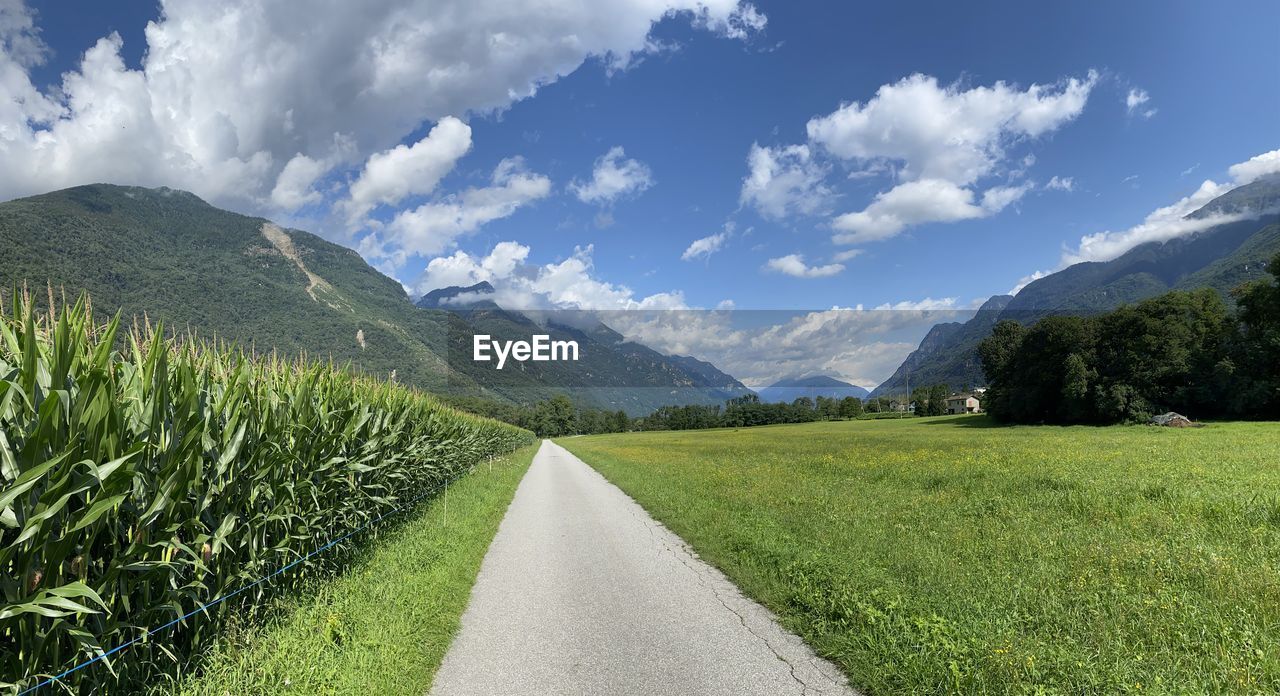 SCENIC VIEW OF ROAD AMIDST PLANTS AGAINST SKY