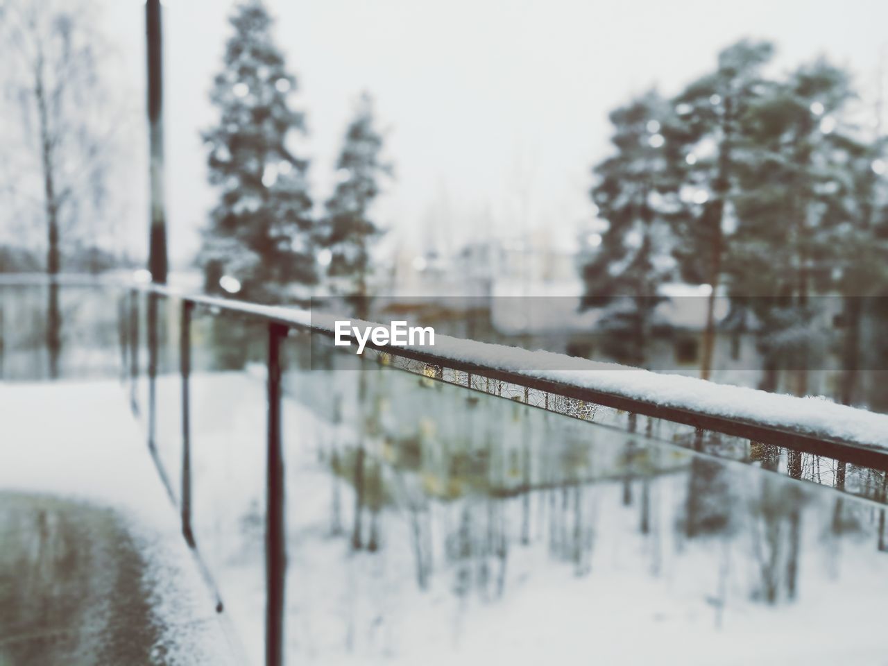 Snow covered trees on landscape during winter