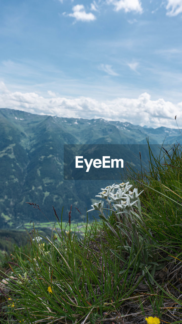 SCENIC VIEW OF MOUNTAIN AGAINST SKY