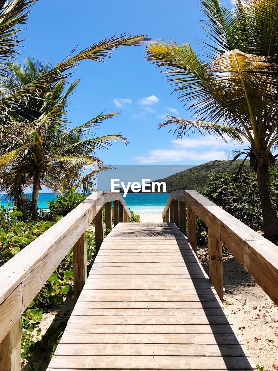 Wooden footbridge leading to the ocean surrounded by palm trees against sky