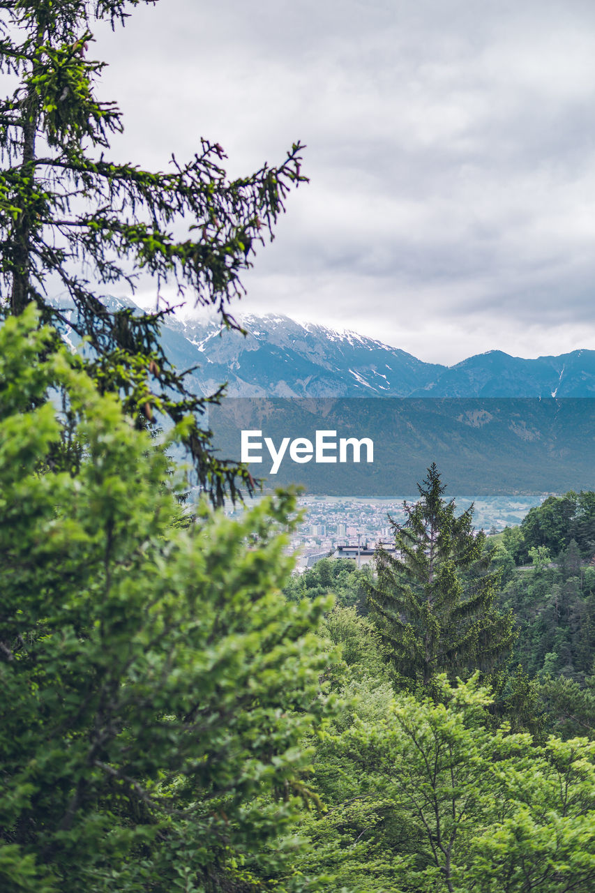 Scenic view of tree mountains against sky