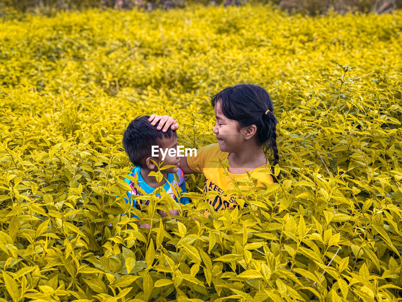 Rear view of two people on field