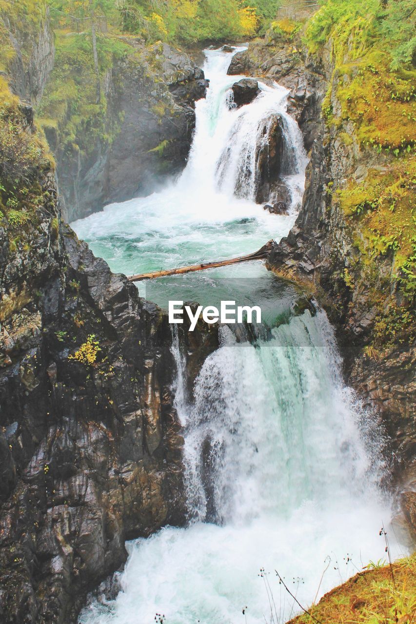 Scenic view of waterfall in forest
