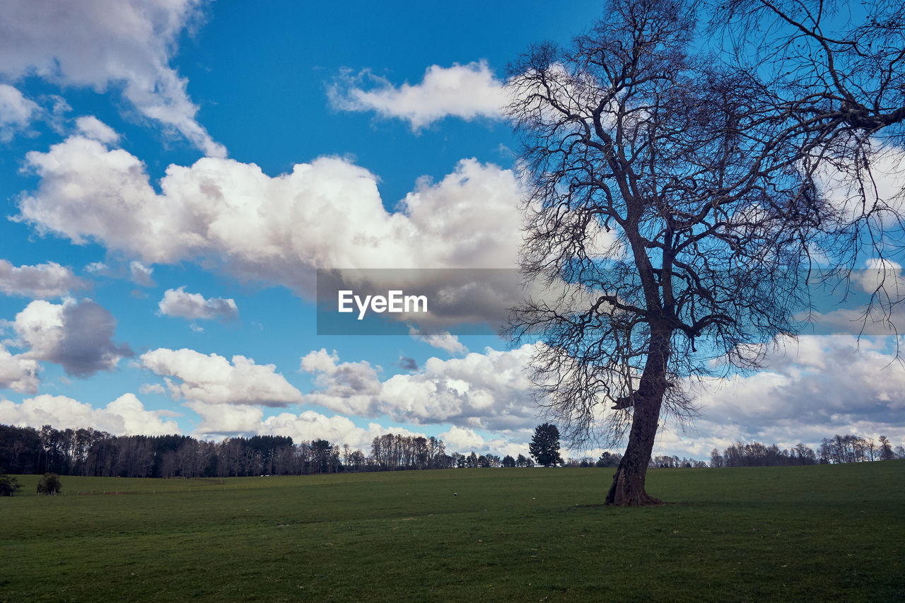 SCENIC VIEW OF LAND AGAINST SKY