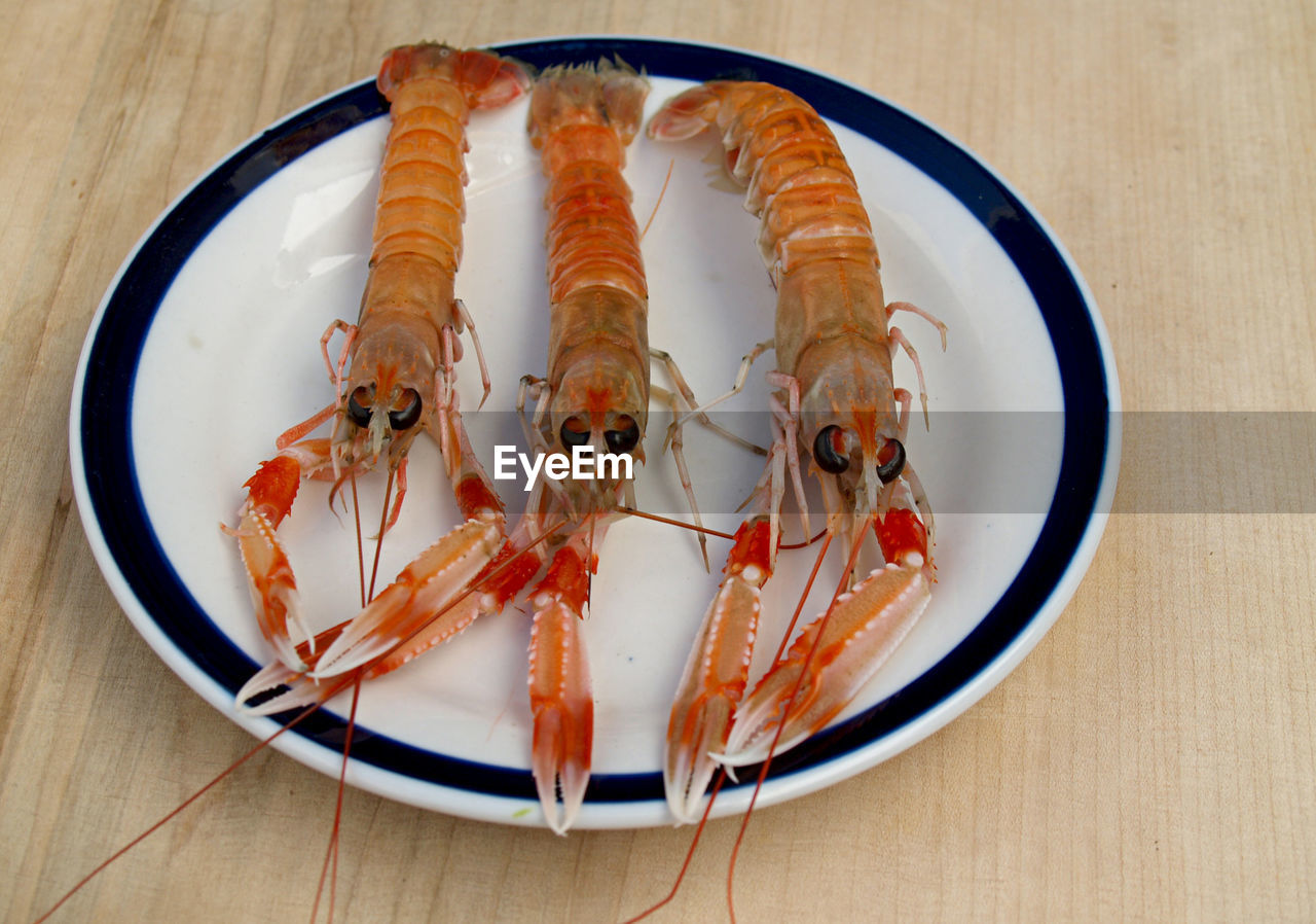 seafood, food and drink, food, crustacean, freshness, wellbeing, table, animal, healthy eating, plate, high angle view, no people, indoors, shrimp, lobster, prawn, homarus, fish, shellfish, directly above, close-up, wood, dendrobranchiata