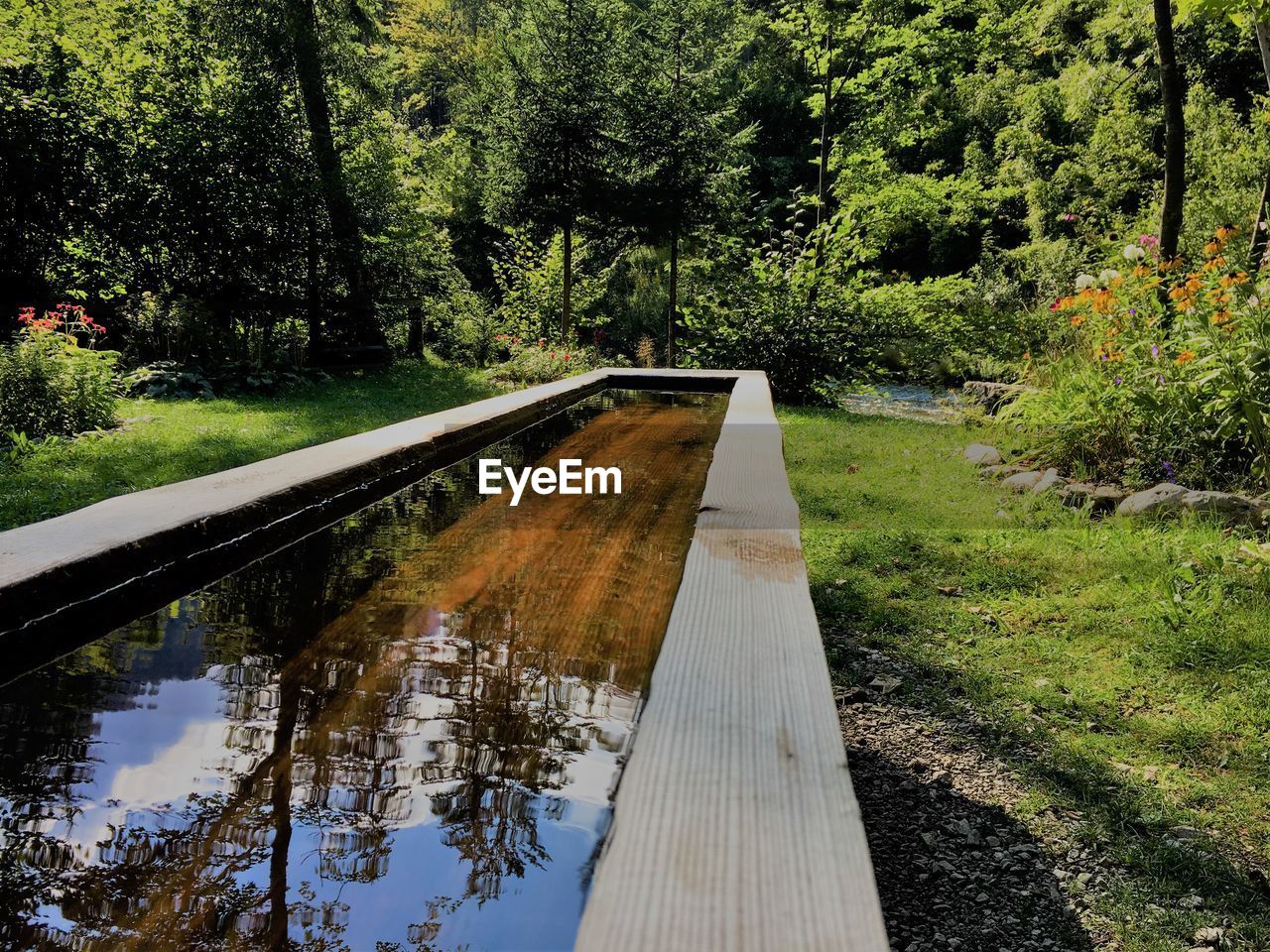 Footbridge over water amidst trees in forest / water reflection 