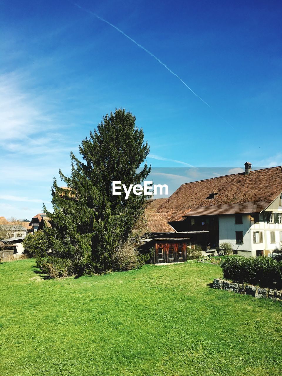 HOUSE AND TREE AGAINST SKY