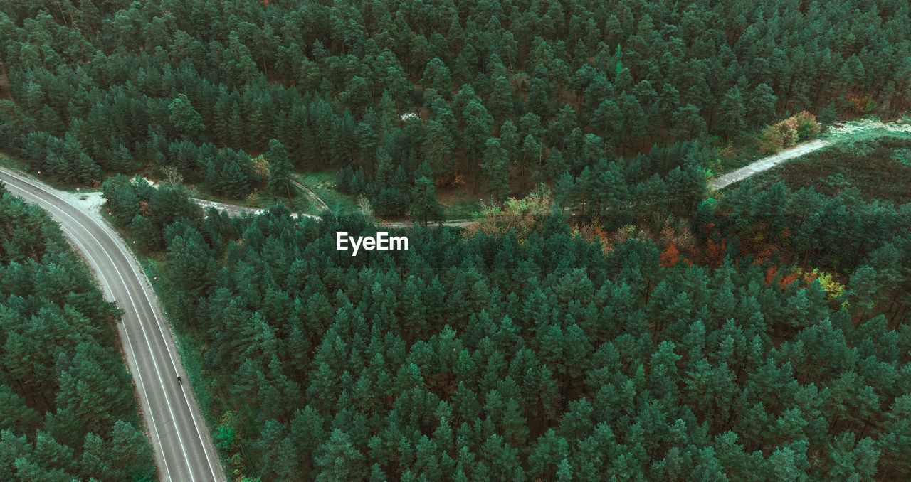 plant, growth, tree, green, high angle view, no people, land, forest, beauty in nature, nature, scenics - nature, tranquility, day, aerial view, aerial photography, tranquil scene, landscape, transportation, road, field, environment, non-urban scene, outdoors, foliage, lush foliage, agriculture, idyllic