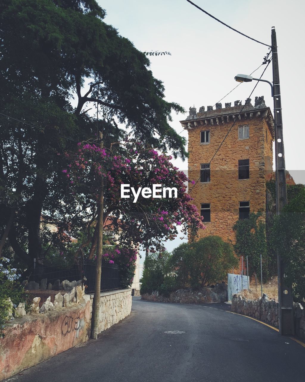 Street by tree and building against sky