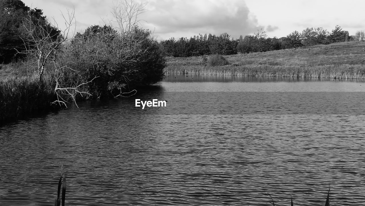 SCENIC VIEW OF LAKE WITH TREES REFLECTION AGAINST SKY